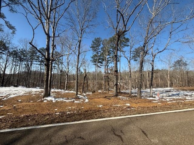 2 State Route 225 Road Henderson, TN 38340 - Photo 16 of 18 View of snowy yard