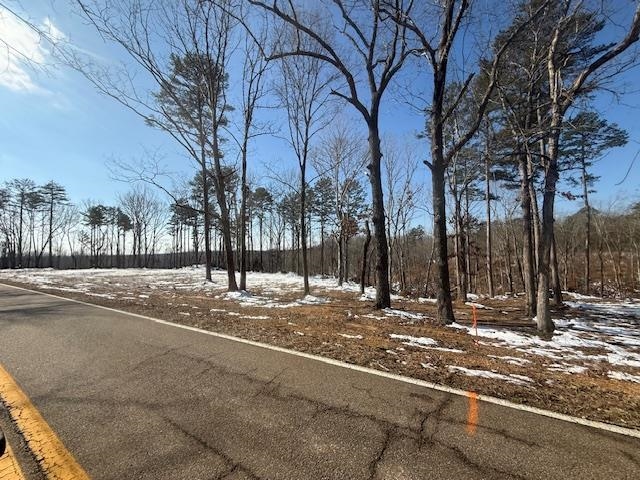 2 State Route 225 Road Henderson, TN 38340 - Photo 17 of 18 View of road