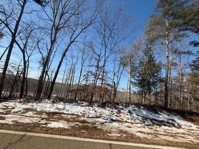 2 State Route 225 Road Henderson, TN 38340 - Photo 3 of 18 View of snowy landscape