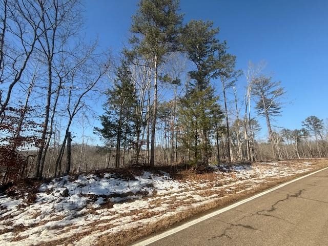 2 State Route 225 Road Henderson, TN 38340 - Photo 4 of 18 View of road