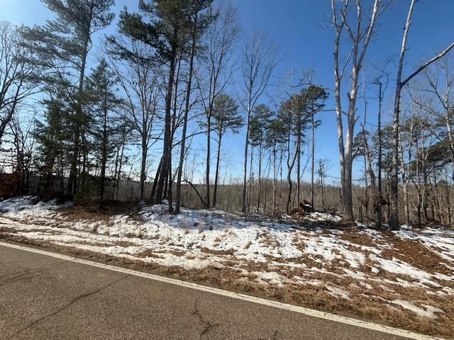 2 State Route 225 Road Henderson, TN 38340 - Photo 5 of 18 View of snowy yard