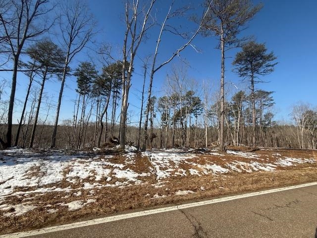 2 State Route 225 Road Henderson, TN 38340 - Photo 6 of 18 View of yard layered in snow