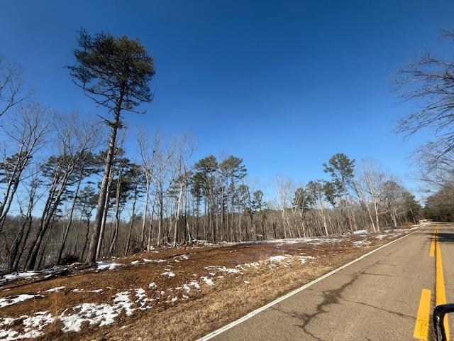 2 State Route 225 Road Henderson, TN 38340 - Photo 7 of 18 View of street