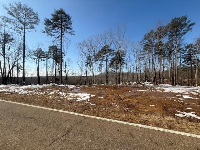 2 State Route 225 Road Henderson, TN 38340 - Photo 8 of 18 View of snowy yard