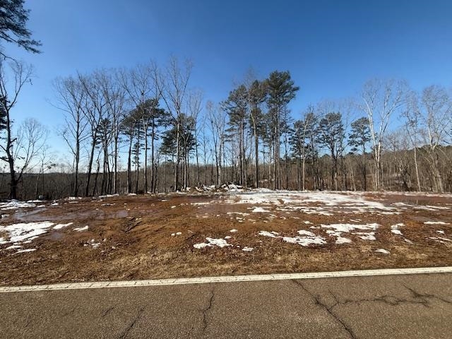 2 State Route 225 Road Henderson, TN 38340 - Photo 9 of 18 View of snow covered land