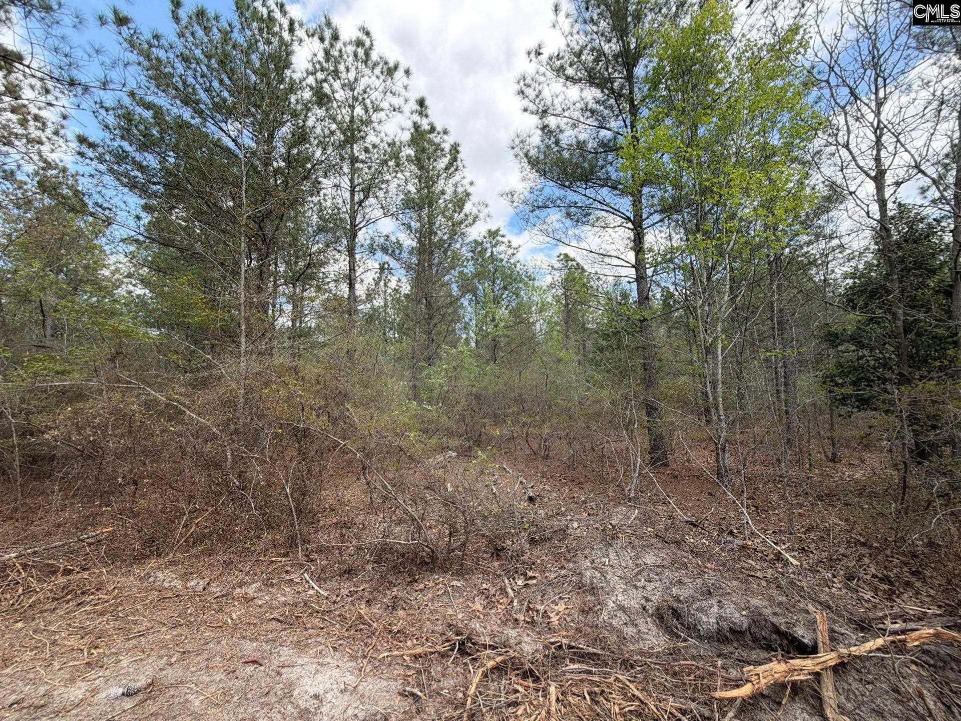 4 Mt Calvary Rd Ridge Spring Ridge Spring, SC 29129 - Photo 11 of 40