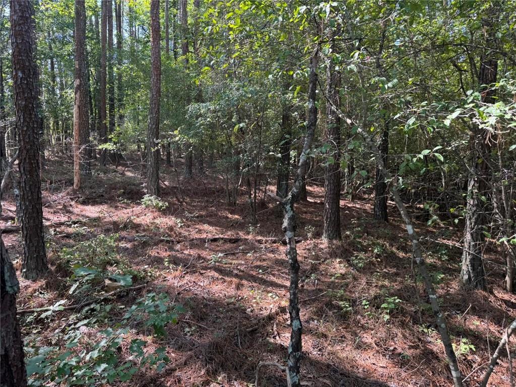 5 Morton Bend Road Rome, GA 30161 - Photo 1 of 1