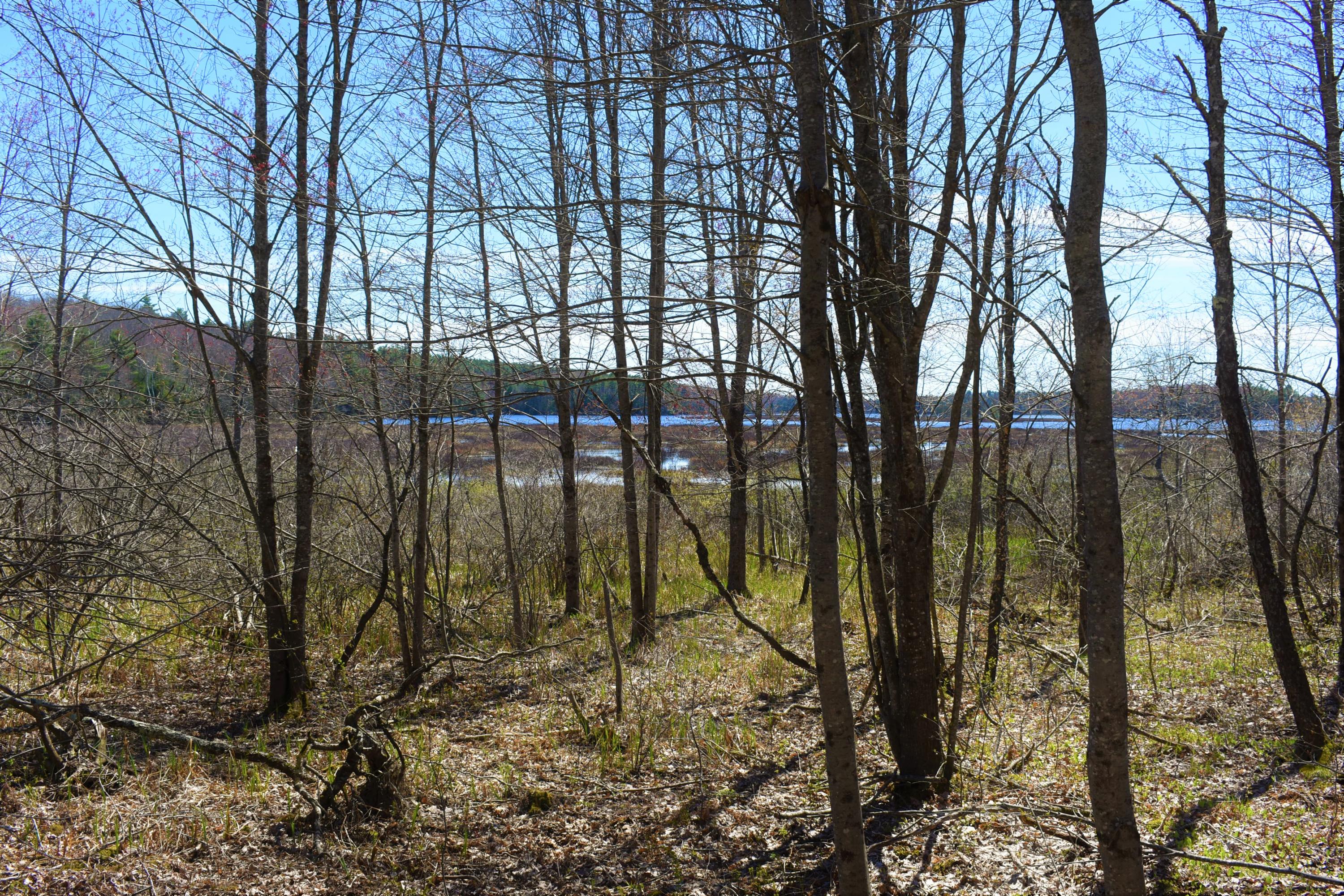 0 Bog Road Dresden, ME 04342 - Photo 12 of 13 DSC_1953