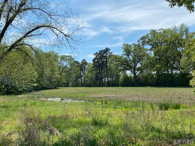 13242 Highway 32 Roper, NC 27970 - Photo 33 of 47