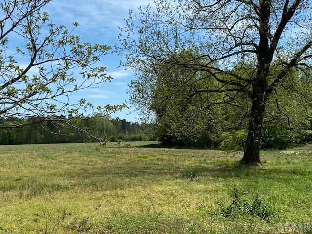 13242 Highway 32 Roper, NC 27970 - Photo 34 of 47