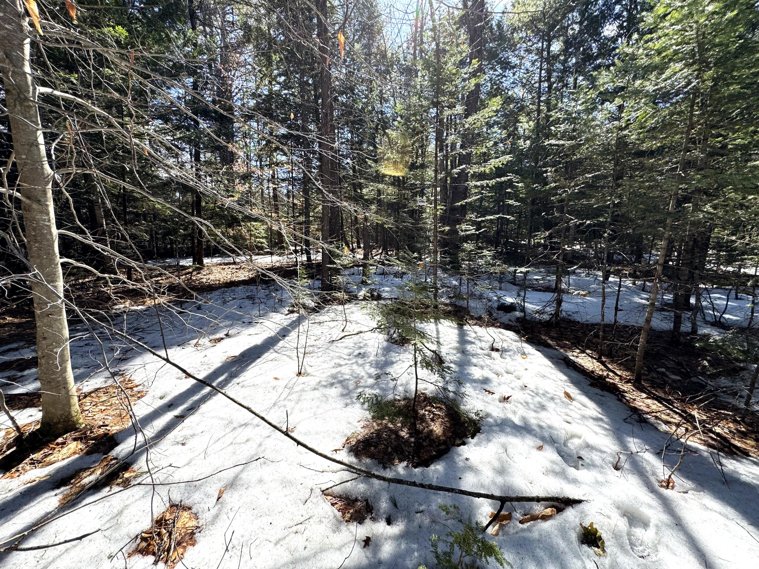 Lot 5 Lords Hill Road Brownfield, ME 04010 - Photo 11 of 20 A mix of evergreens and deciduous trees