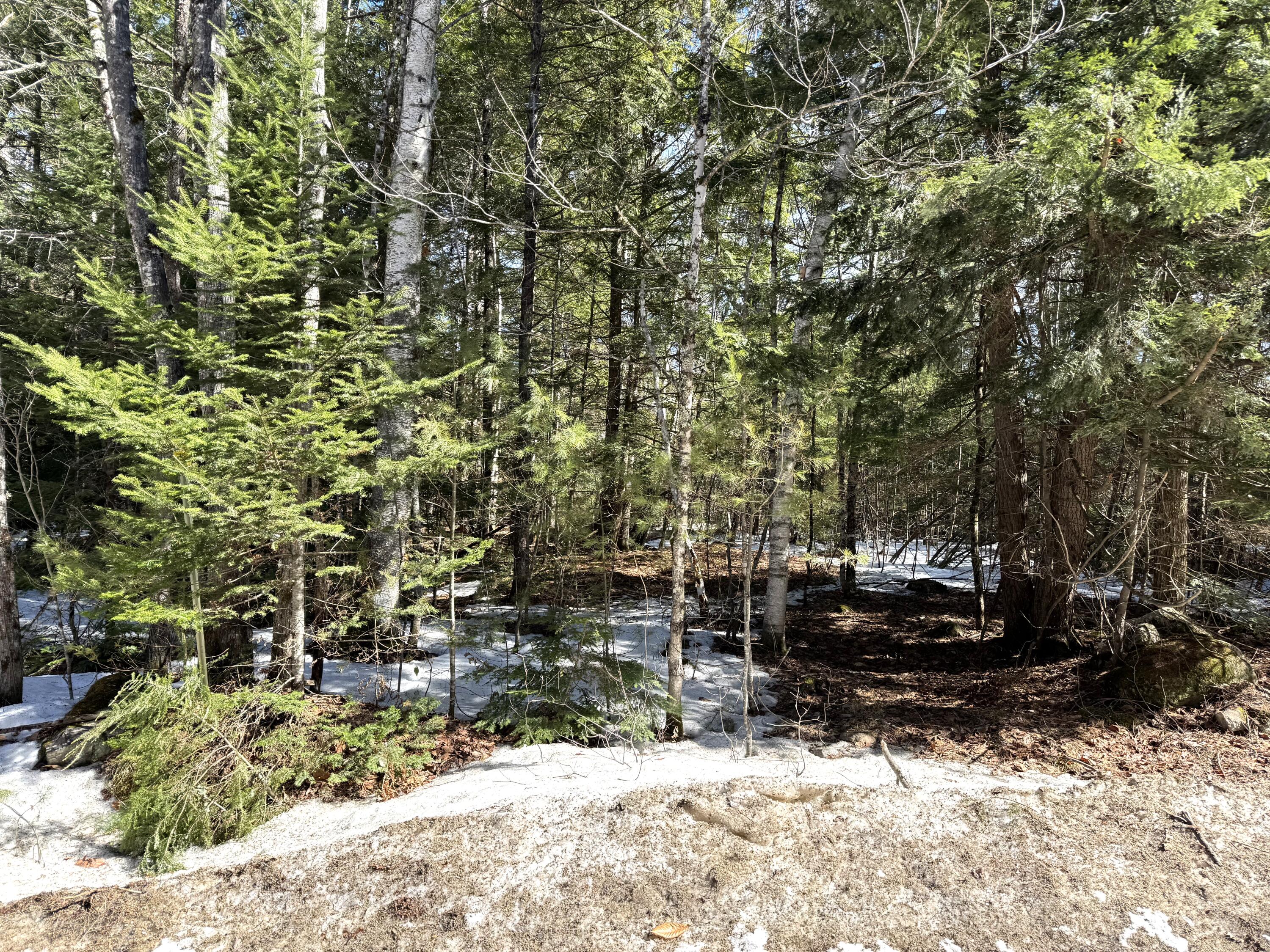 Lot 5 Lords Hill Road Brownfield, ME 04010 - Photo 14 of 20 Roadside
