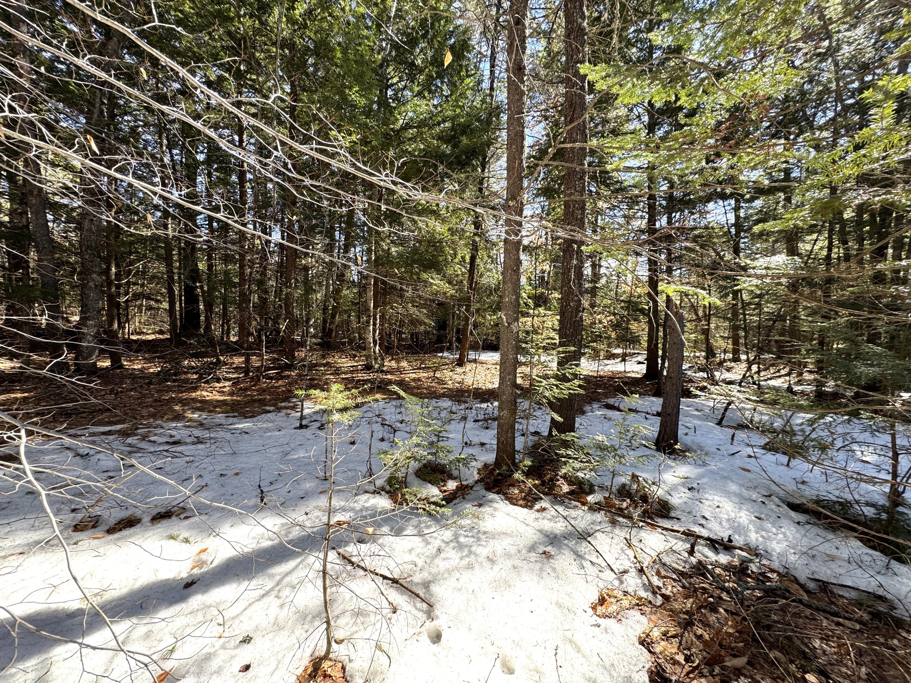 Lot 5 Lords Hill Road Brownfield, ME 04010 - Photo 3 of 20 Level in a lot of spots