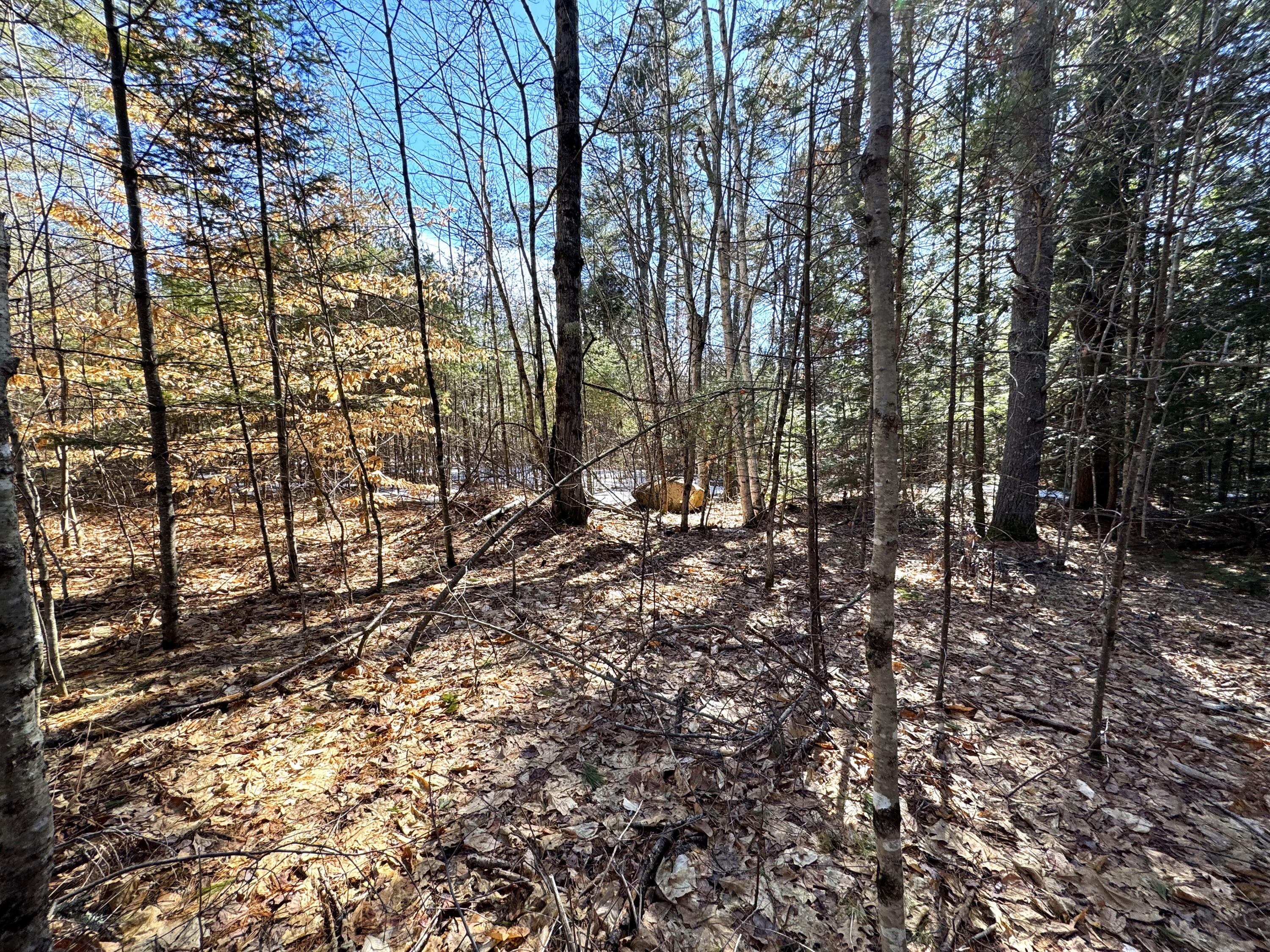 Lot 5 Lords Hill Road Brownfield, ME 04010 - Photo 4 of 20 Beautiful setting