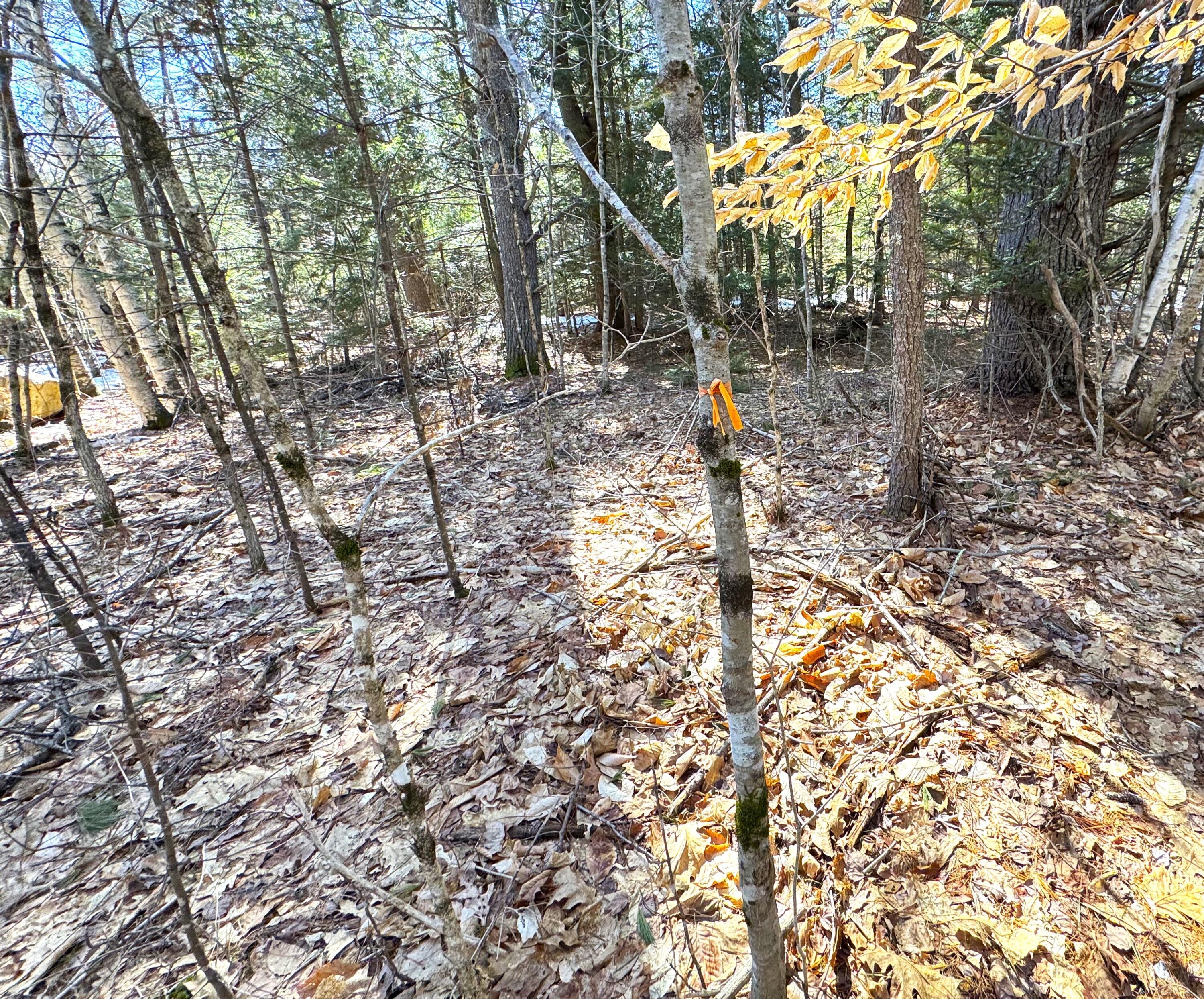 Lot 5 Lords Hill Road Brownfield, ME 04010 - Photo 5 of 20 Marked Lot