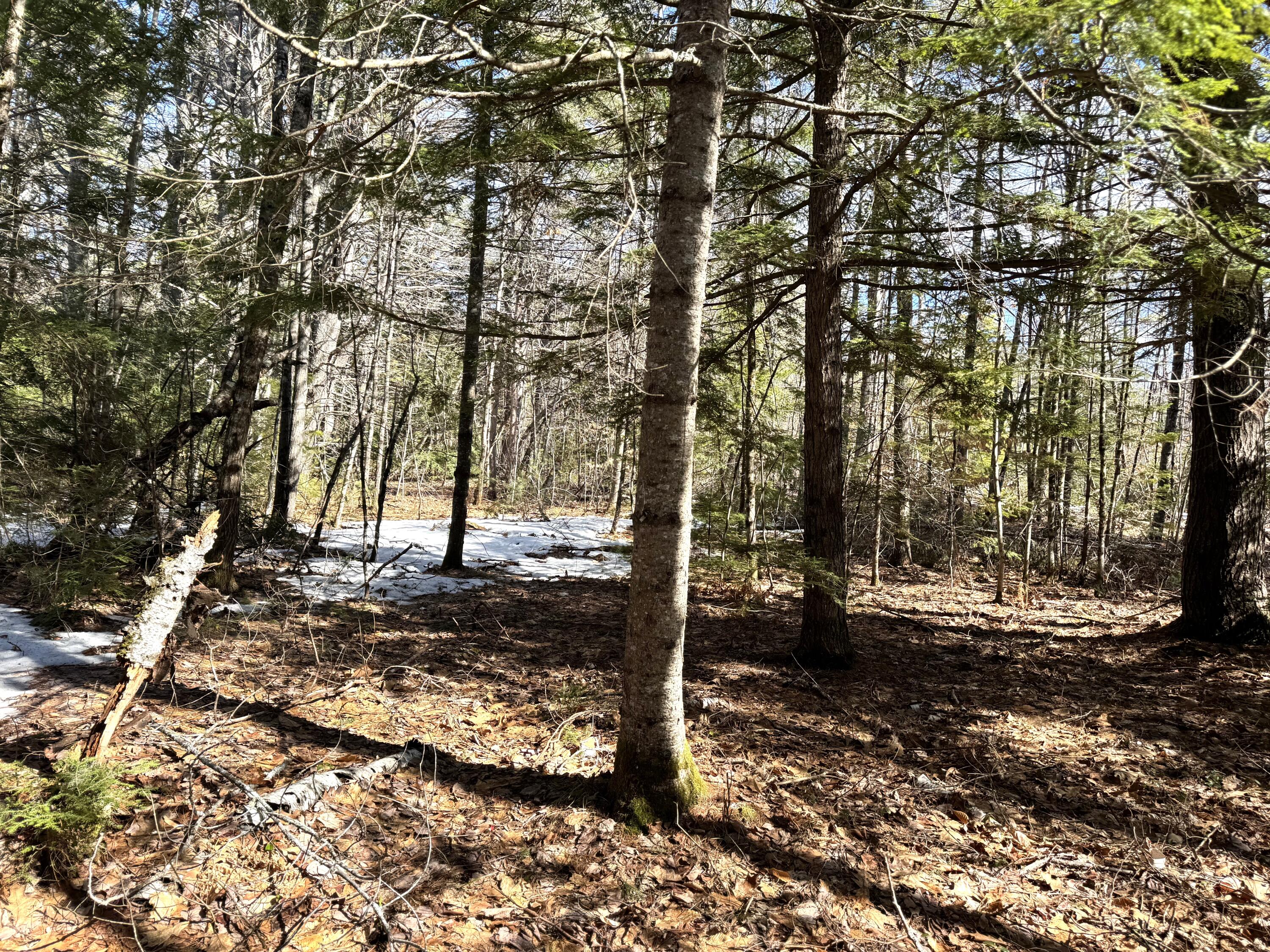 Lot 5 Lords Hill Road Brownfield, ME 04010 - Photo 7 of 20 Walking Trail