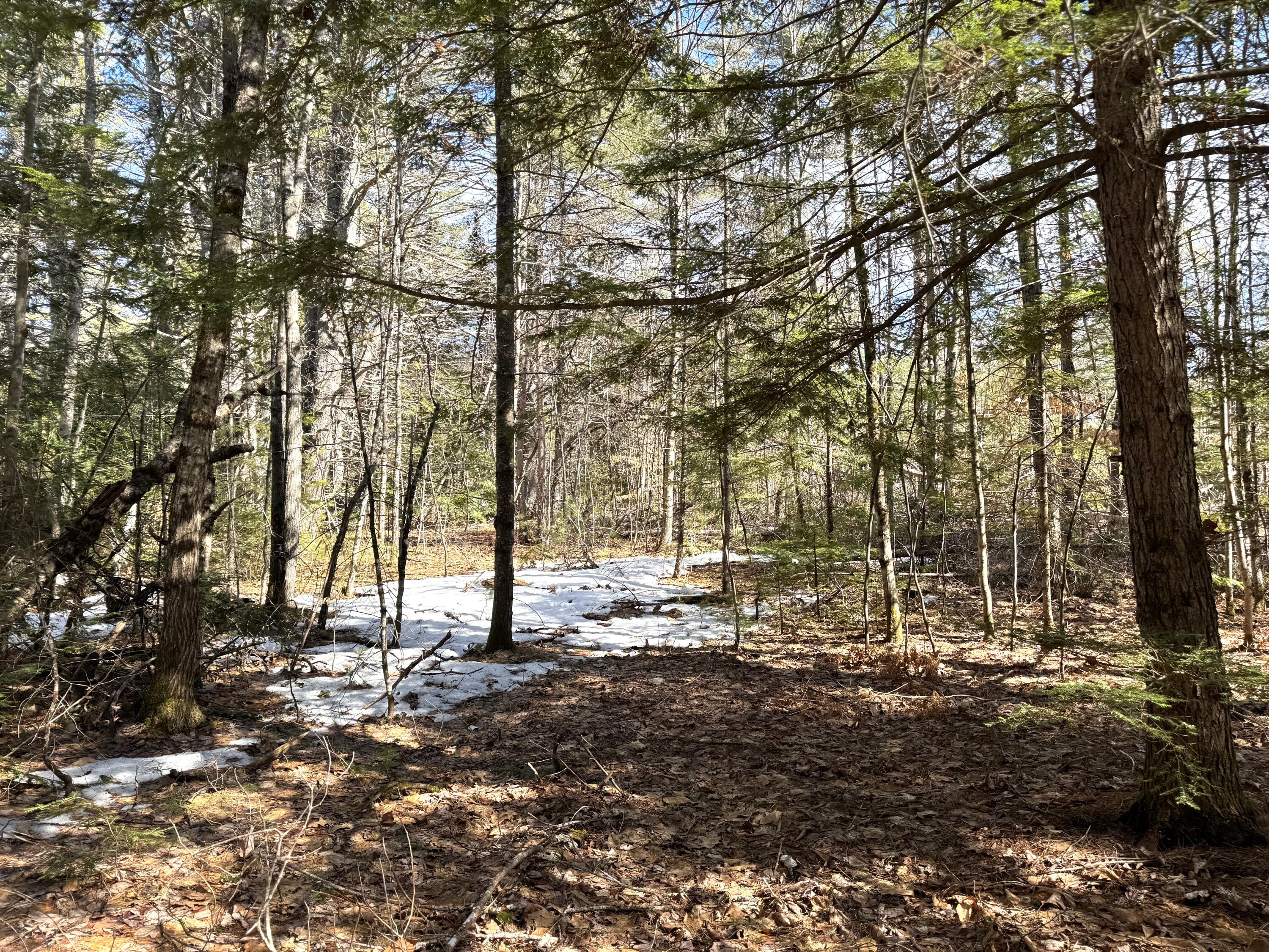 Lot 5 Lords Hill Road Brownfield, ME 04010 - Photo 8 of 20 Partially cleared areas