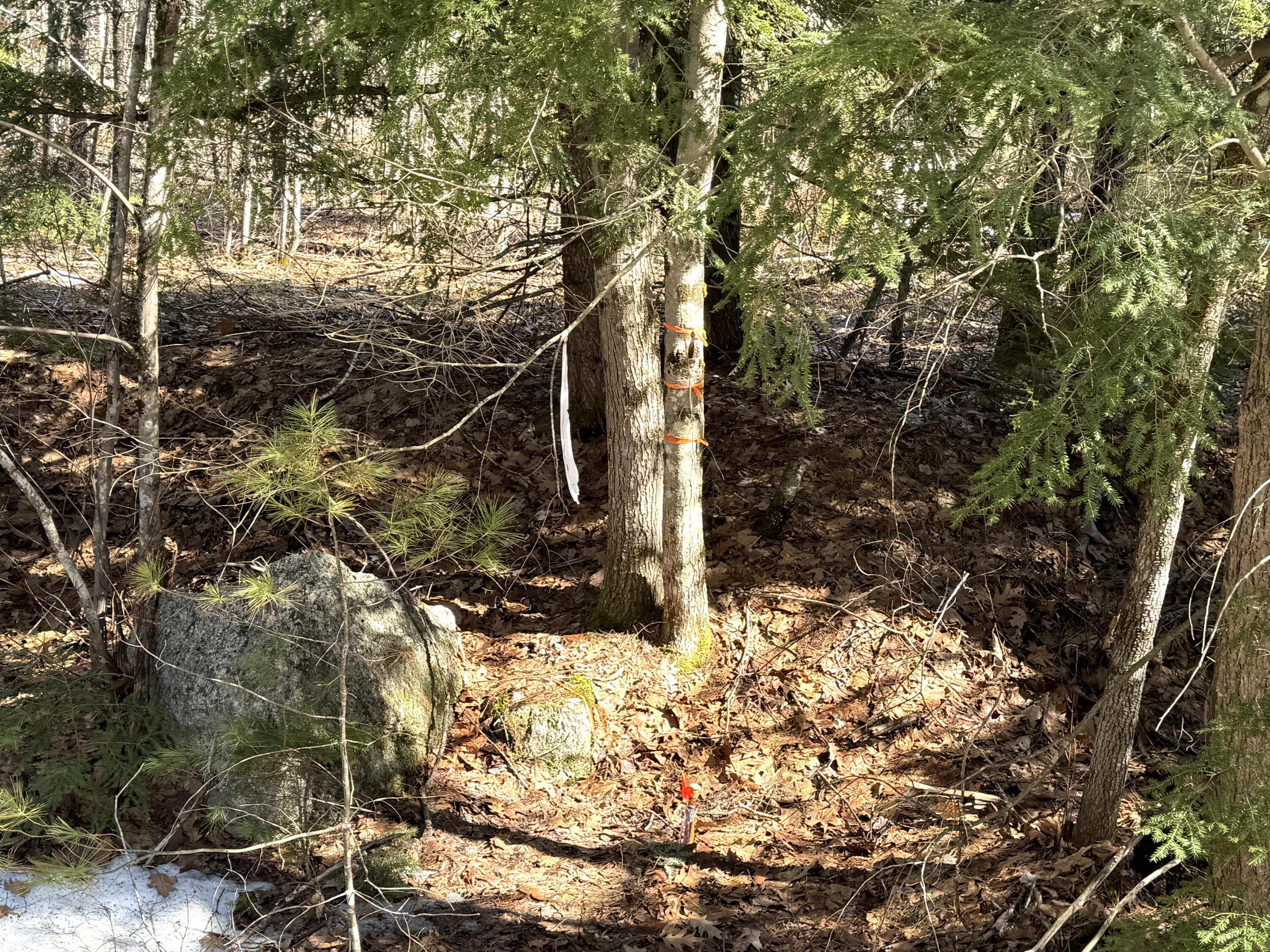 Lot 5 Lords Hill Road Brownfield, ME 04010 - Photo 9 of 20 Boulders on site