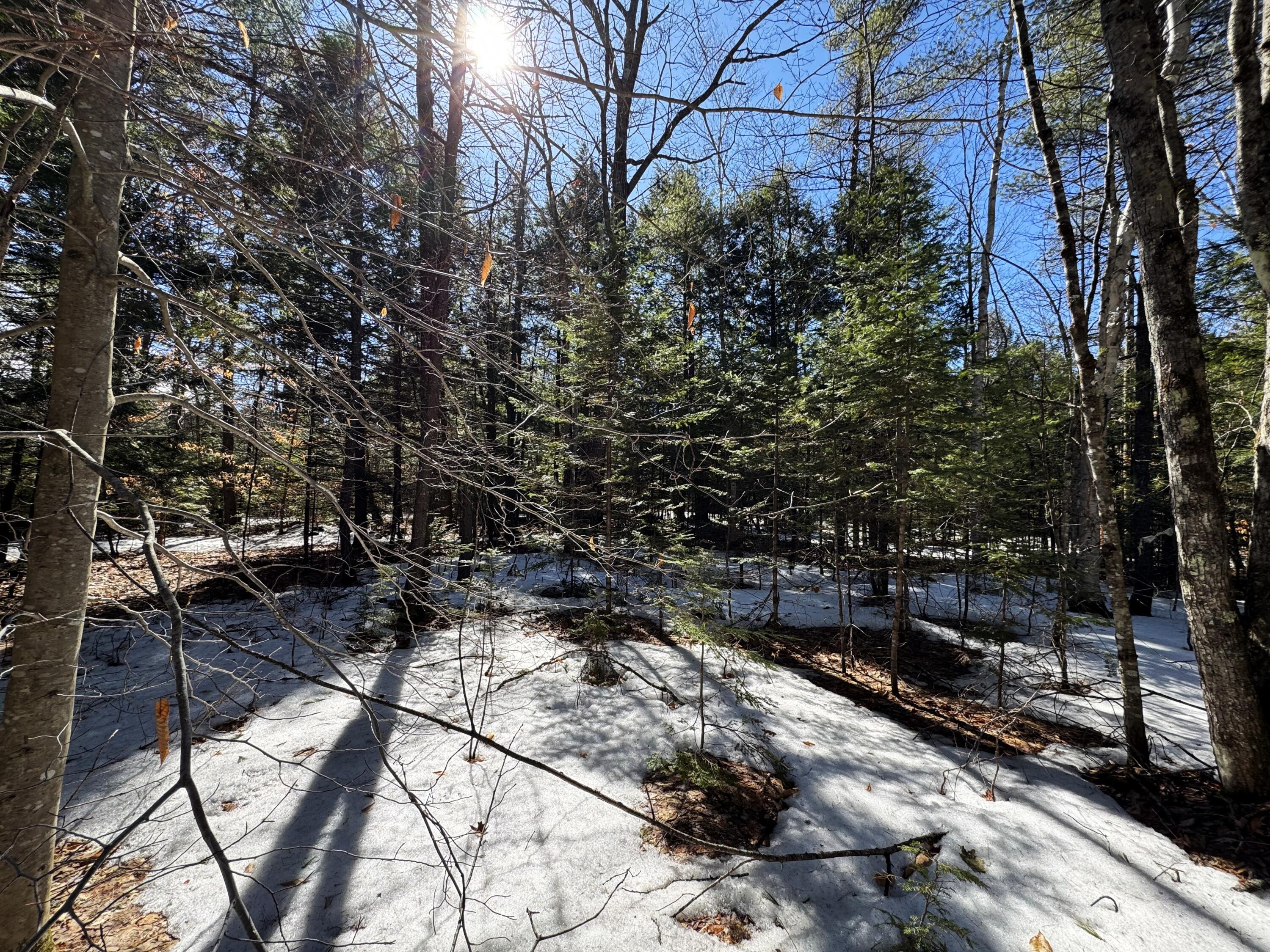 Lot 5 Lords Hill Road Brownfield, ME 04010 - Photo 10 of 20 Beautiful in all seasons