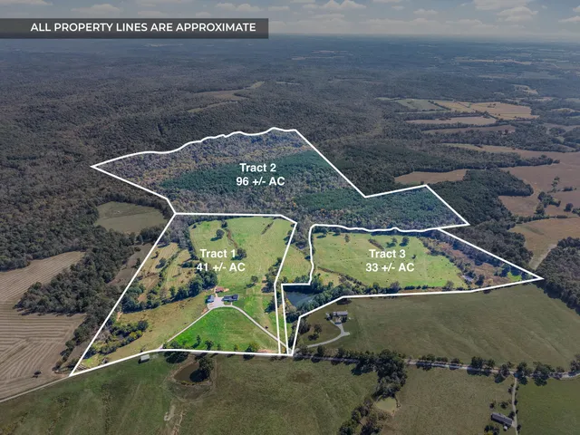 a view of a house with garden
