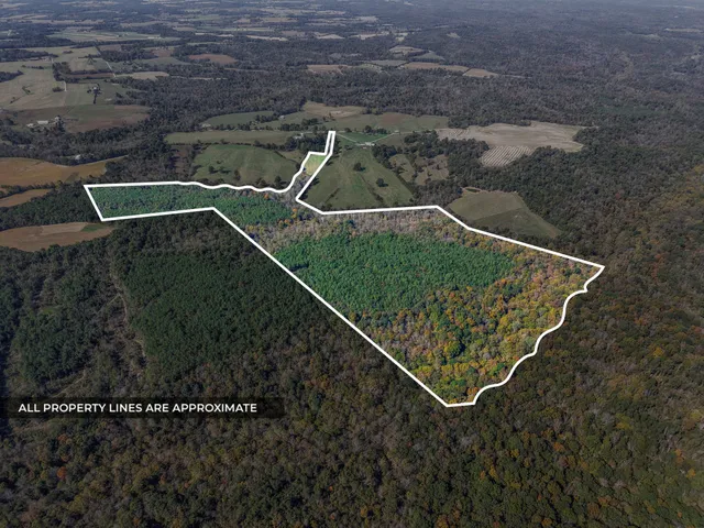 a kitchen with a refrigerator a sink and cabinets