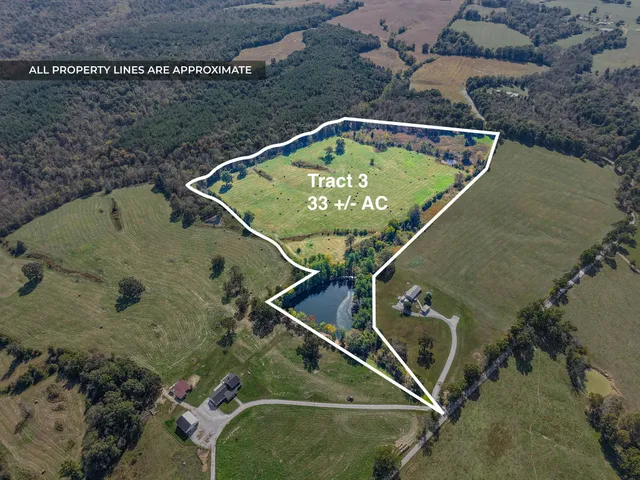 a spacious bedroom with a bed and a chandelier