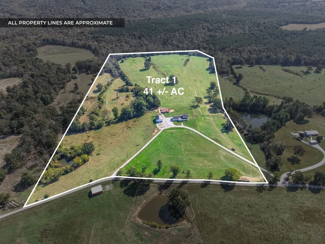a bedroom with furniture and wooden floor