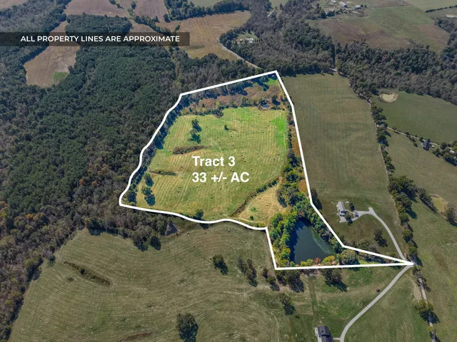 a view of a lake with a mountain in the background