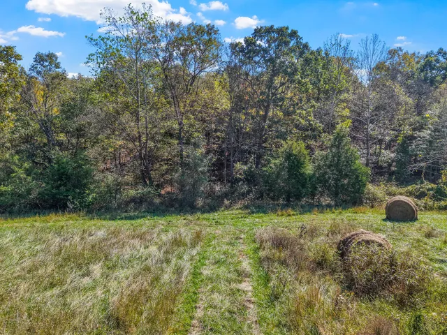 a view of a house with a back yard