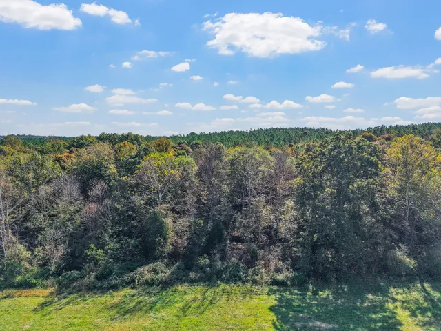 2760 Wallace Fork Road, Princeton, KY 42445