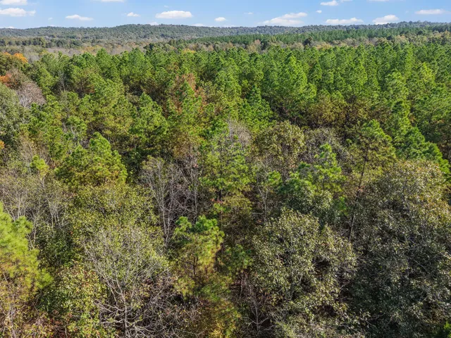 2760 Wallace Fork Road, Princeton, KY 42445