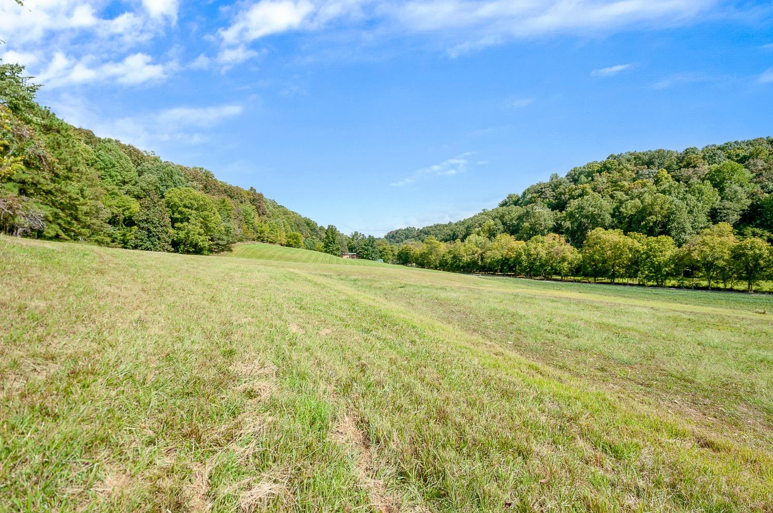 2579 Esque Sharp Road Mount Pleasant, TN 38474 - Photo 26 of 30 Gallery Image 26