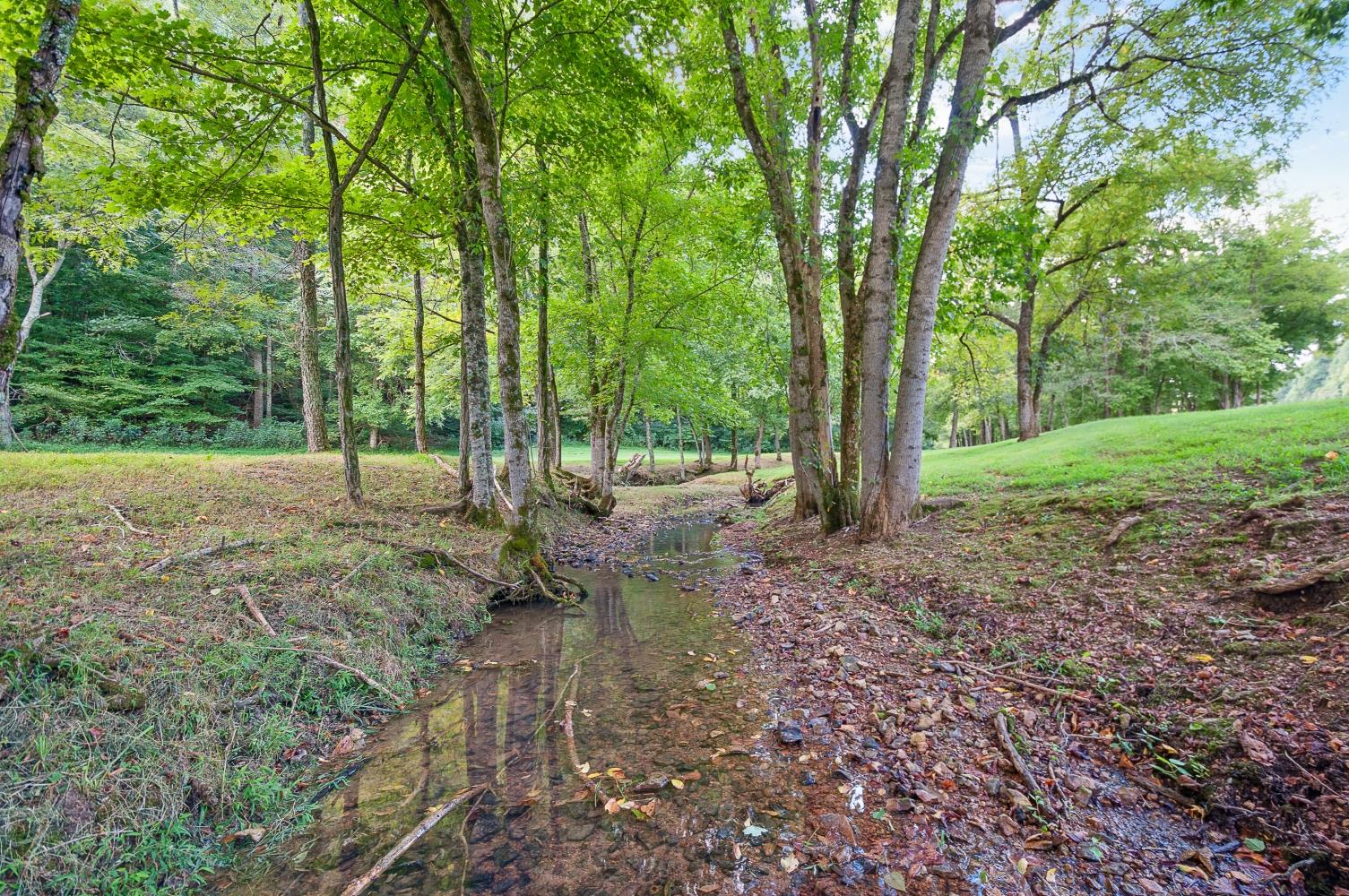 2579 Esque Sharp Road Mount Pleasant, TN 38474 - Photo 28 of 30 Gallery Image 28