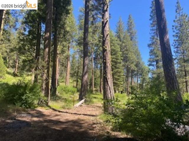 26591 Snow Bowl Road Long Barn, CA 95335 - Photo 38 of 38 a view of a yard