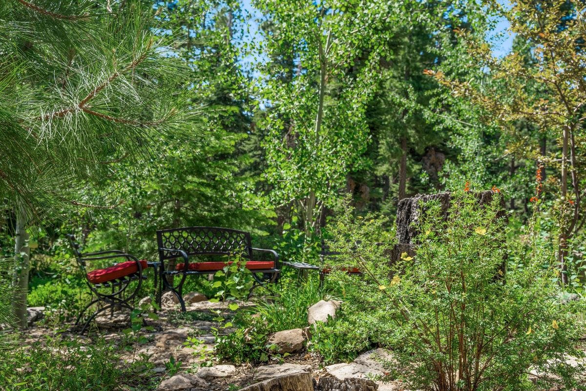 3600 Dinah Road Carnelian Bay, CA 96140 - Photo 23 of 26 a backyard of a house with lots of green space and a fountain