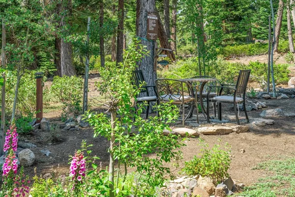 a view of a backyard with plants and patio