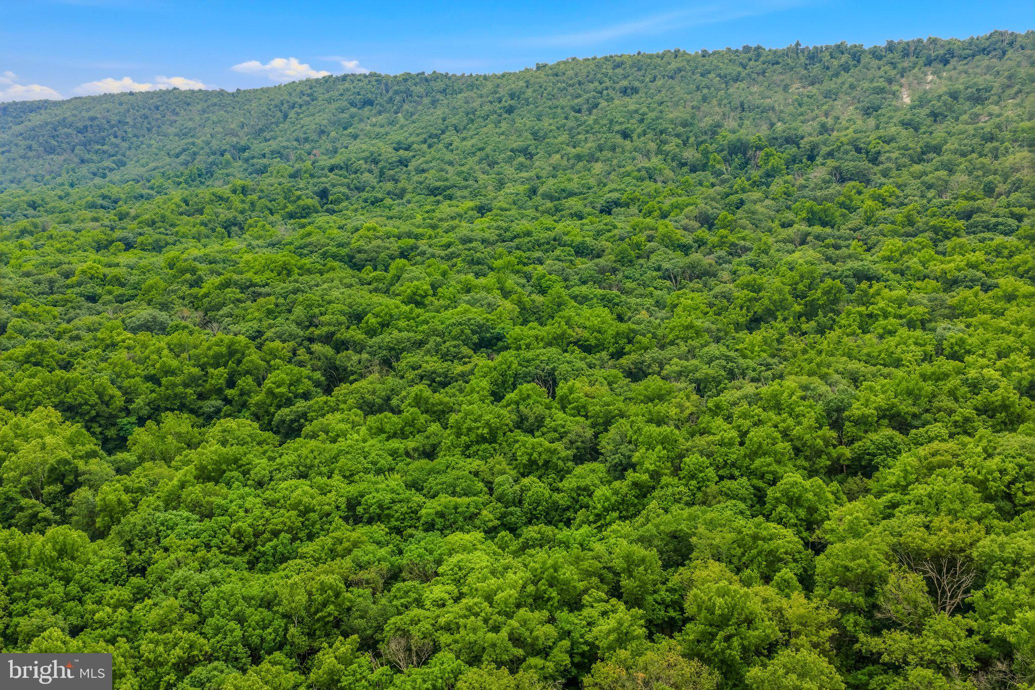 221 Mountainside Road Berkeley Springs, WV 25411 - Photo 45 of 53 Aerial View