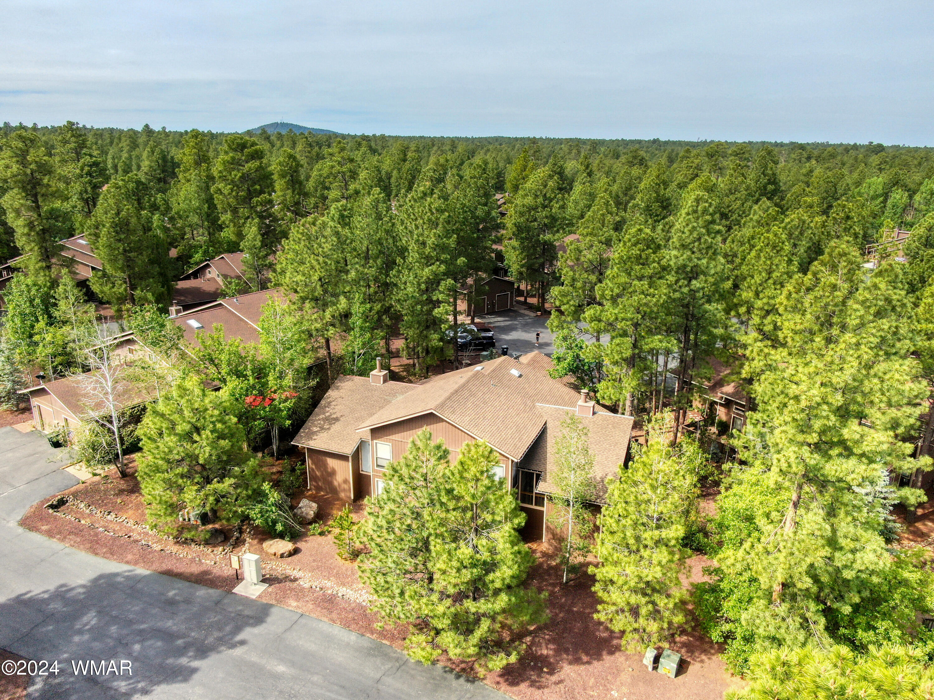 2727 Juniper Circle, Unit 37 Pinetop, AZ 85935 - Photo 28 of 33 a view of a garden with an outdoor space
