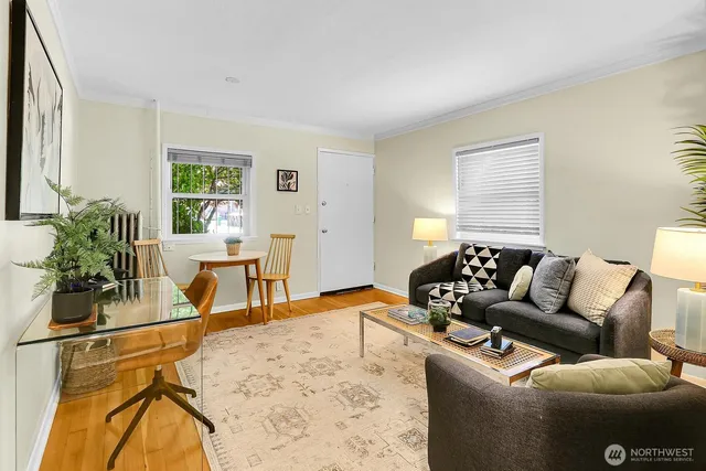 a living room with furniture a window and potted plant