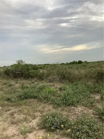 $84,640 | 1021 Frontier A Road, Freer, TX 78357