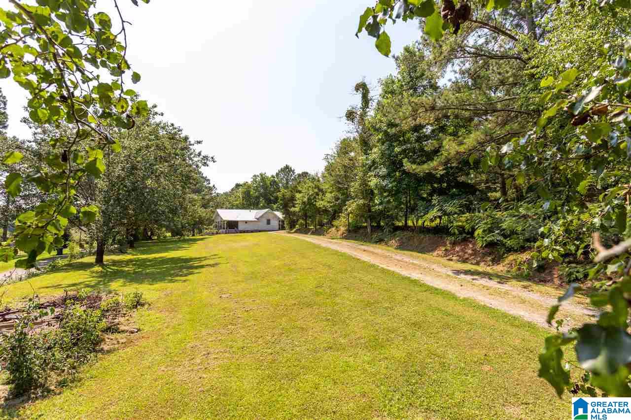 340 Old Springs Road Springville, AL 35146 - Photo 37 of 37