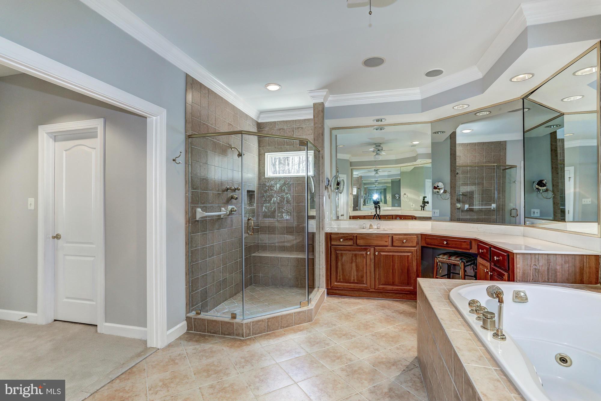 894 Chinquapin Road McLean, VA 22102 - Photo 19 of 30 Bath (Master)