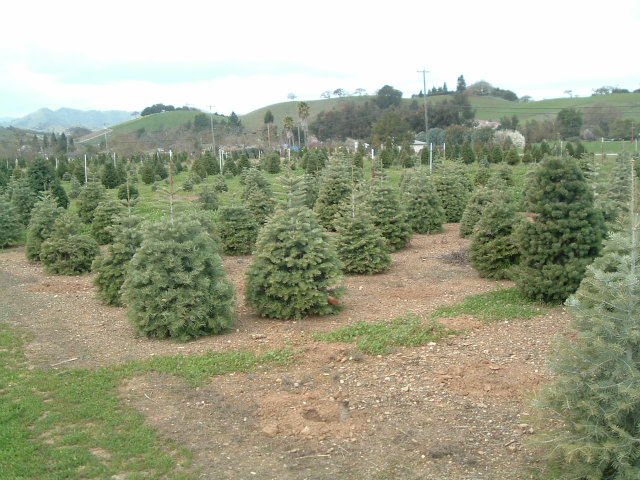 13865 Monterey Road San Martin, CA 95046 - Photo 2 of 4