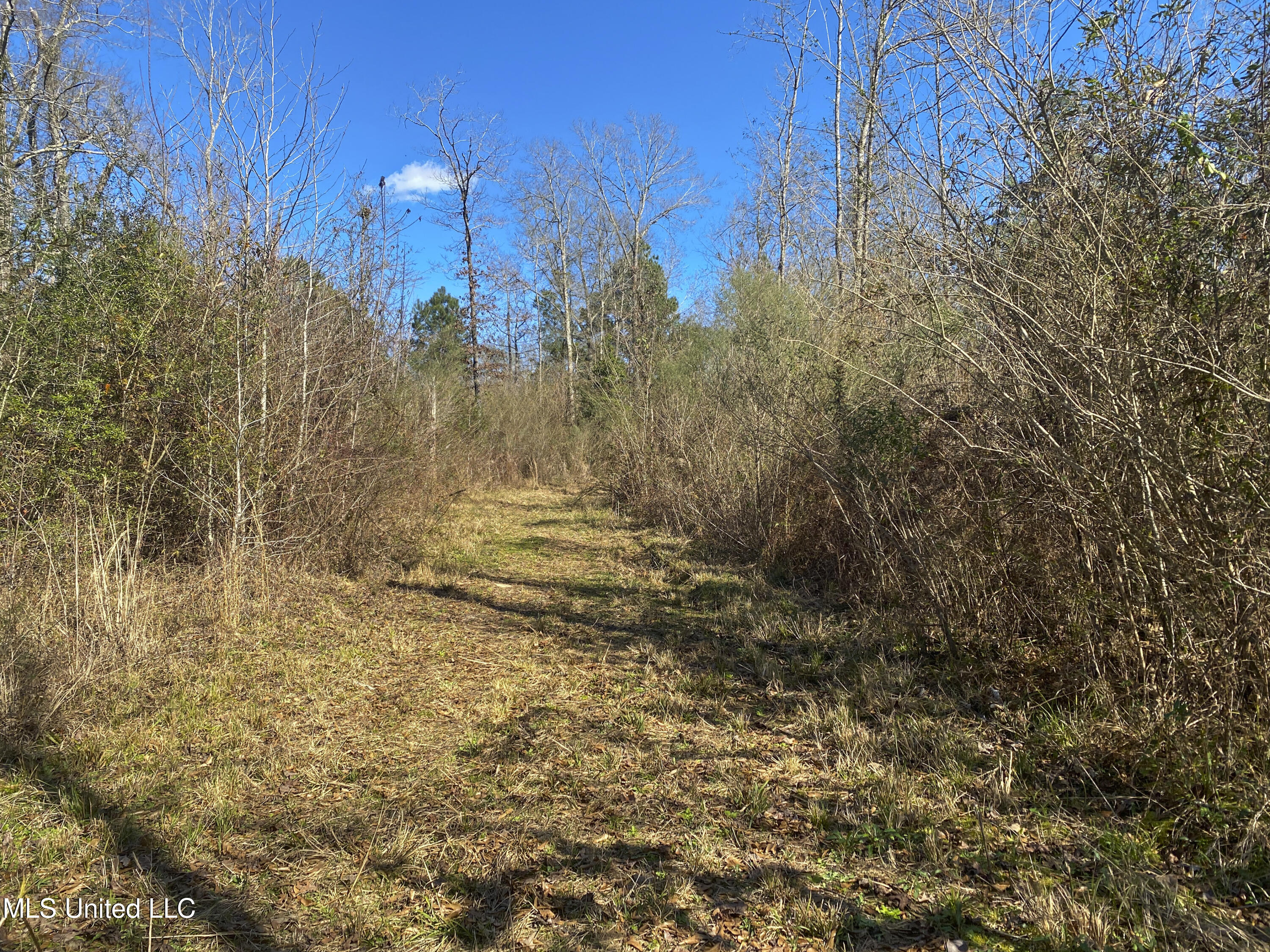 2346 Busy Corner Road Gloster, MS 39638 - Photo 17 of 20 IMG_3446