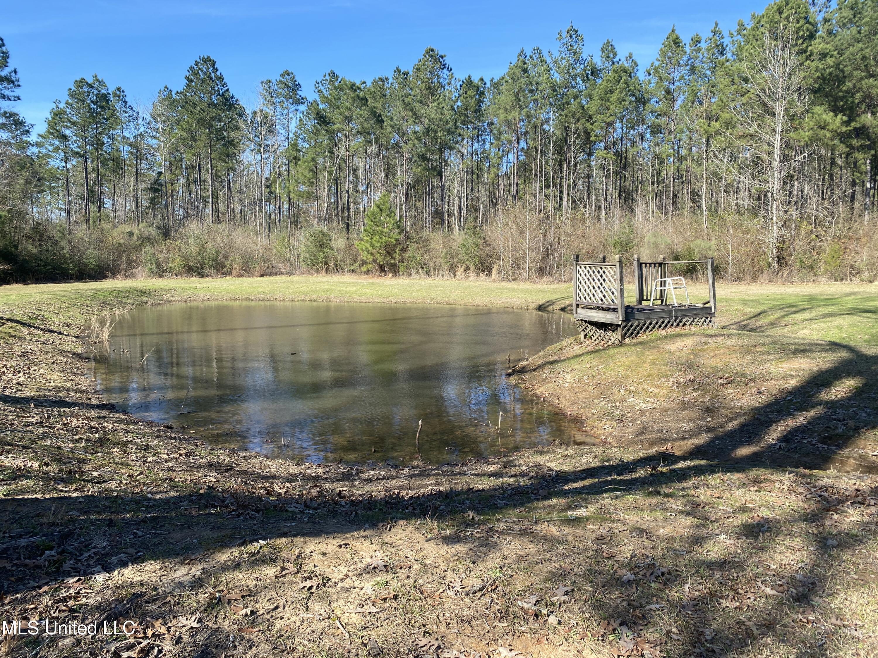 2346 Busy Corner Road Gloster, MS 39638 - Photo 19 of 20 IMG_3452