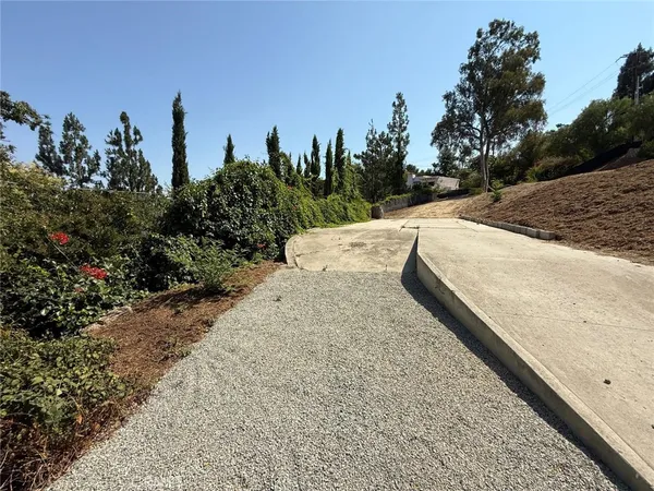 a view of a dry yard with trees