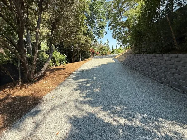 a view of a road with trees in the background