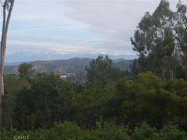 a view of a city with a mountain in the background