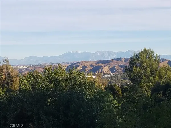 a view of a city street with lots of trees