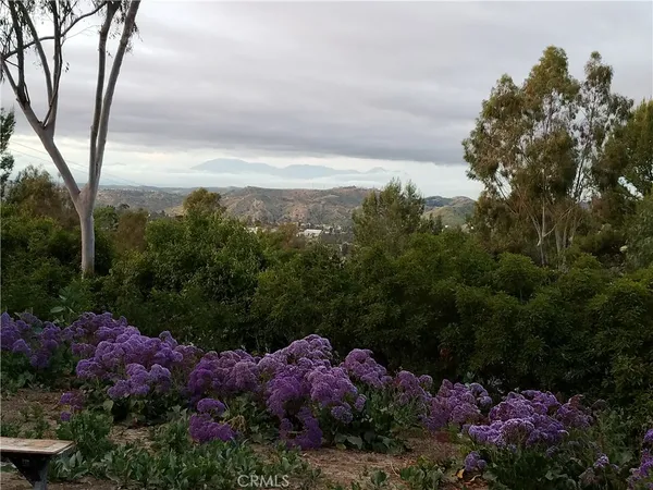 a view of a garden with plants and trees